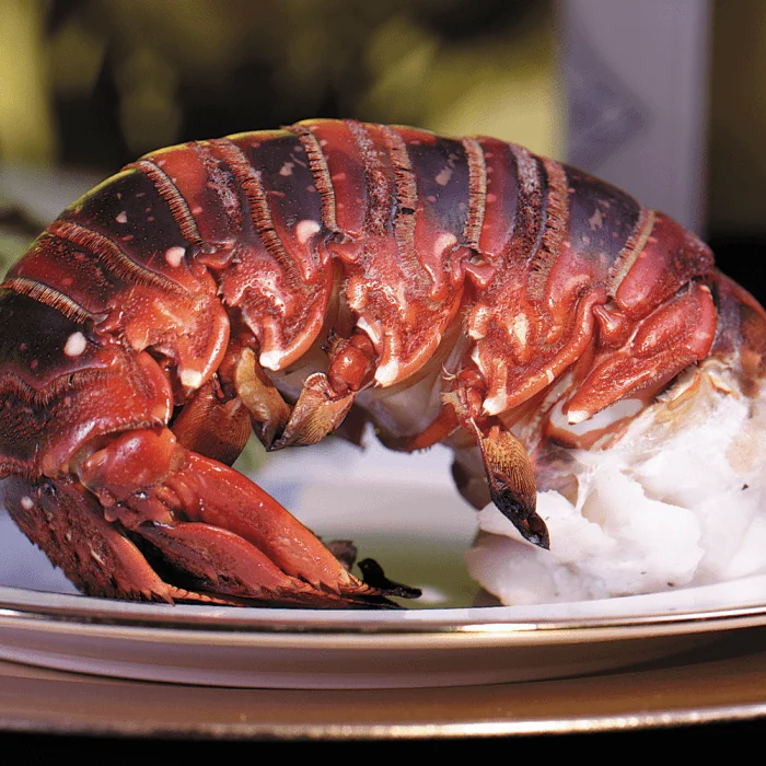 Two fresh Maine lobster tails on a white background.