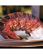 Two fresh Maine lobster tails on a white background.