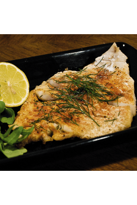 A Rockfish Special, a high-quality fishing rod designed for catching rockfish, featuring a sturdy handle and a strong, flexible rod.