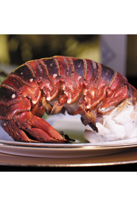 Two fresh Maine lobster tails on a white background.